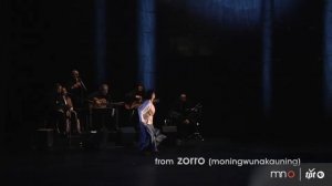 Zorongo Flamenco