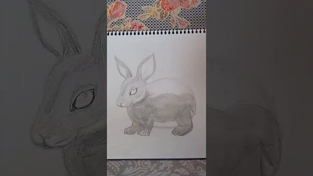 Как нарисовать ЗАЙЧИКА. Для начинающих.
