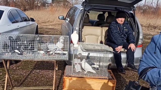 Ярмарка голубей декоративных птиц и животных г. Бородянка Киевская область 20.02.2022 года.Часть3.