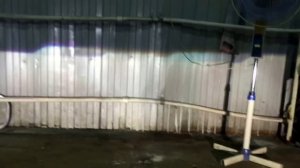 Hyundai Elantra /4 линзы