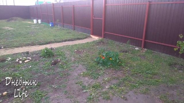 МОЯ ДАЧА, СБОР УРОЖАЯ И ПЕРЕПЛАНИРОВКА ОГОРОДА