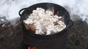 Кролик с грибами тушёный в сметане в казане