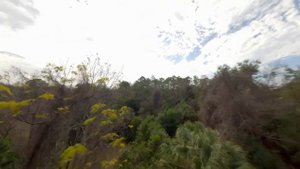 Speedybee Bee35 FPV Cinematic Drone Zone Park Tour Gopro 11 Mini Peaceful Flight until Crash at End