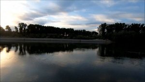 ВЕЧЕРНЯЯ РЫБАЛКА НА ДНЕСТРЕ / Дунайская селёдка
