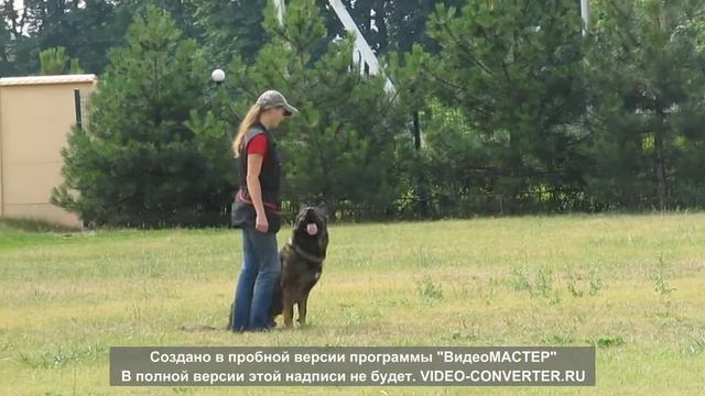 Нагир. Испытания ИПО-1. Послушание В-93 смотреть онлайн