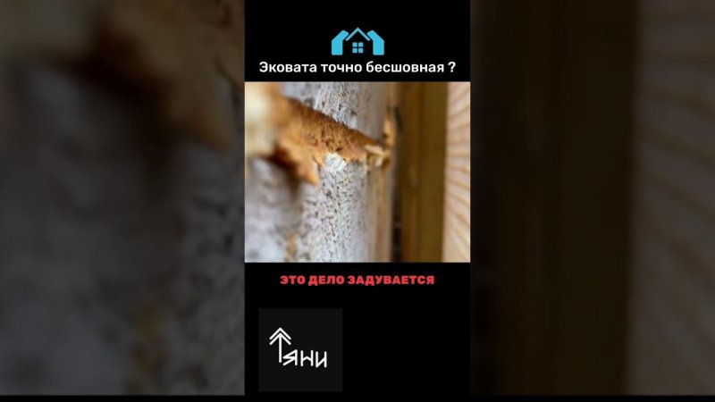 #Эковата точно бесшовная? #утепление #строительство #сруб