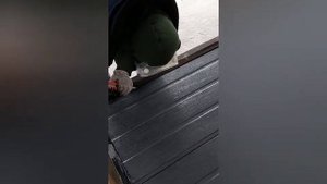 Бюджетный ворота из сендвич панелей.