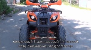 Квадроцикл TERMIT LIBRE CROSS