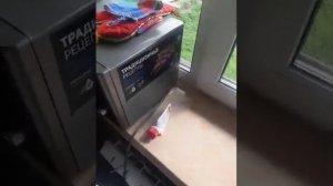 Правильный вывод воды из дома на улицу.