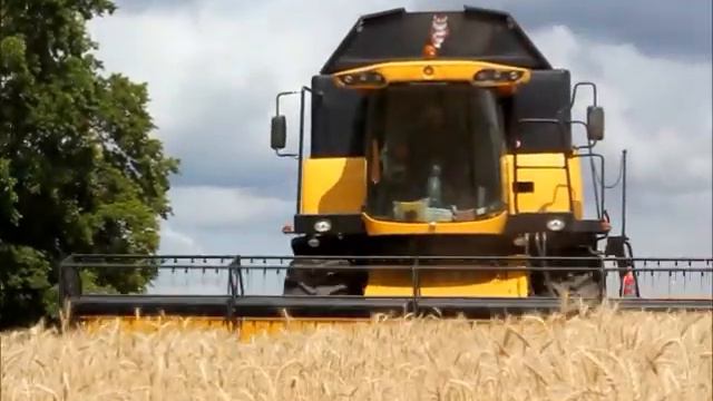На полях Тетюшского района идет уборка озимых смотреть онлайн