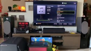 Focal chora 816