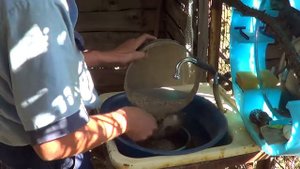 36 Хлорная кислота растворяет золото 1