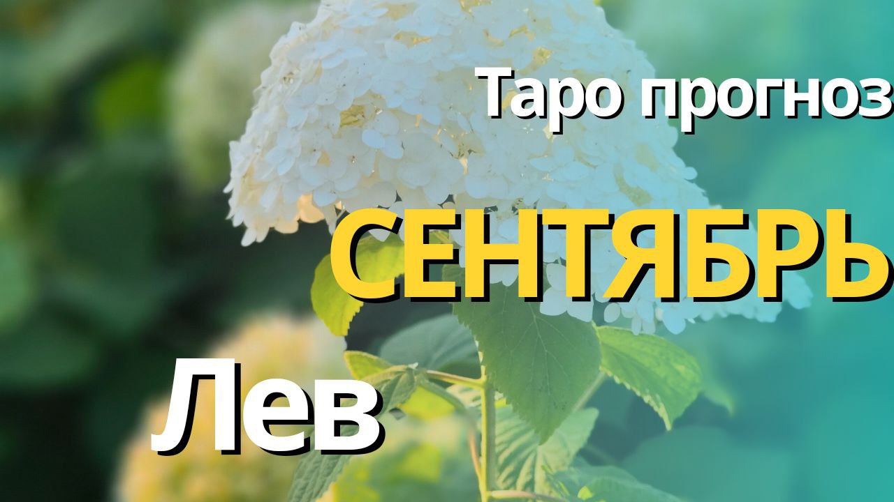 ЛЕВ СЕНТЯБРЬ 2023 [Таро прогноз]