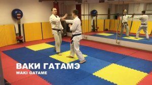 17 техник томики айкидо