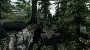 Elder Scrolls V Skyrim Ultra Settings Gameplay GTX 650 Ti