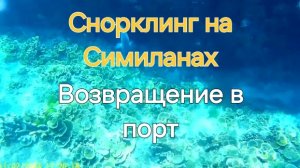 Таиланд. 25 серия. Экскурсия, часть 3. Снорклинг на Симиланах.  Возвращаемся с экскурсии.