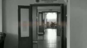 Санаторий "Руш"