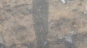 Февраль. Как себя ведут балаганы зимой при ветре до 20 м/с.