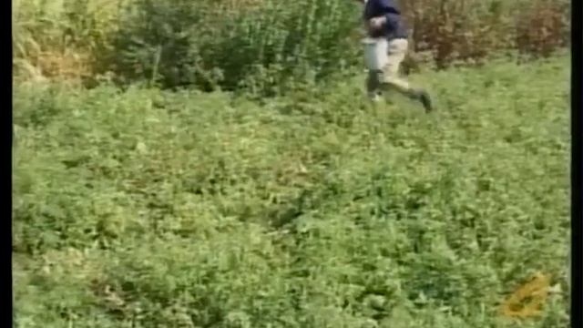 Наводнение в деревне Каратакла Гардабанского района 2004 г. Аладин Садиков. смотреть онлайн