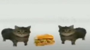 This is a. Sandwich ALL VERSIONS