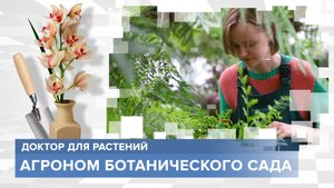 Человек, который любит природу больше всех. Профессия "Агроном ботанического сада"