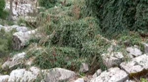 Действительно забытые горные руины под 15 метров