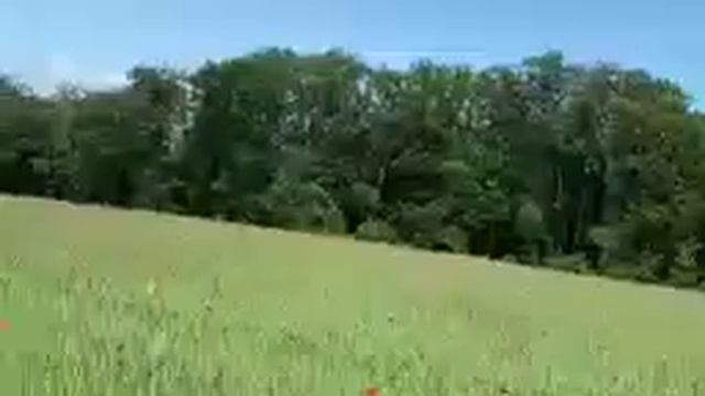 ayatul kursi 4 Qul surah Fatiha (Episode 566) 7 Taims repeat with Arabic Text beautiful (Arsh)#ayat смотреть онлайн