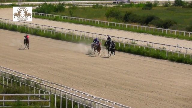 8.08.2021 - Приз Альманаха "Ахал-Теке Информ" - Фаиз смотреть онлайн