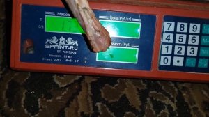 БРОЙЛЕРЫ без комбикорма / Убрали 21 бройлеры / Вес тушки бройлеров? / Домашнее мясо бройлера