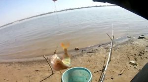 Весенняя рыбалка на червя ловля на донку ОКУНЯ и КАРАСЯ.