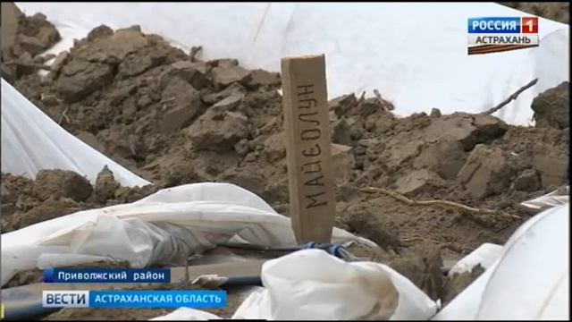 В Астраханской области начал работу молодёжный агропромышленный парк 