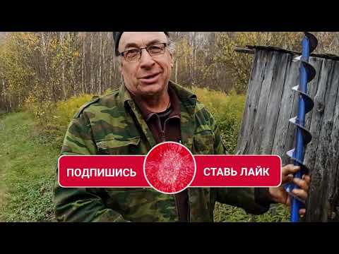 Абиссинка, Бурим водой!