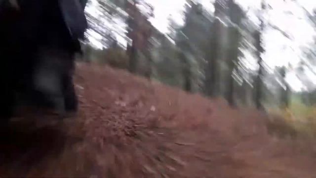 euc Off-Road. моноколесо в лесу смотреть онлайн