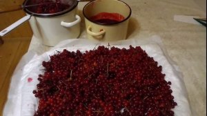 Как приготовить калину на Зиму. Живьём без варки.