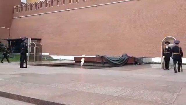 Почётный караул у вечного огня | Москва смотреть онлайн