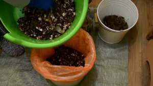 В010. ? Подготовка пищевых отходов для червя. 2 способа ?