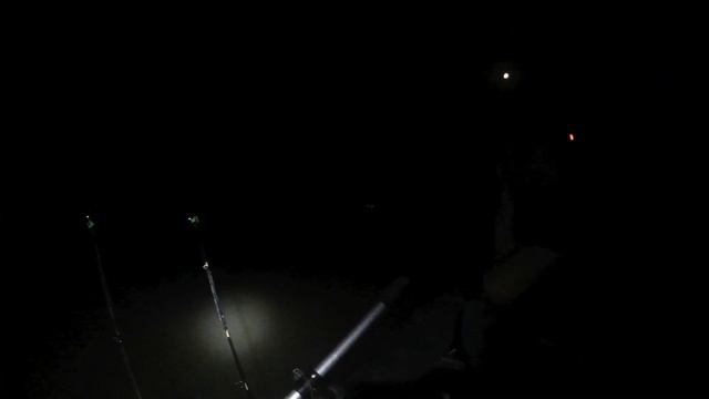 рыбалка на Кубани.сом, карась.рыбалка.бешеный клев перед дождём! смотреть онлайн