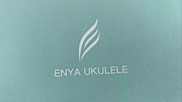 Enya Concert Nova U Carbon Fiber Travel Ukulele-Blue Matt Unboxing || R A D E || смотреть онлайн