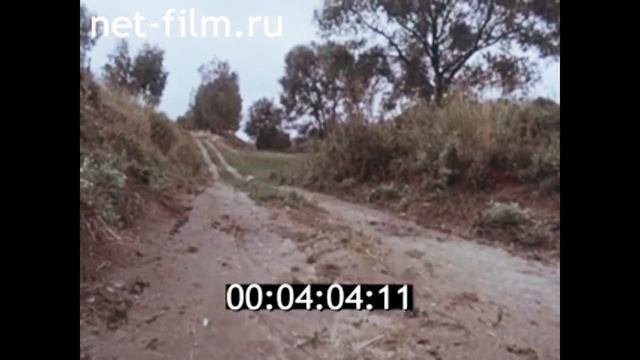 1992г. Братья Стародубцевы. Тульская обл. Липецкая обл.