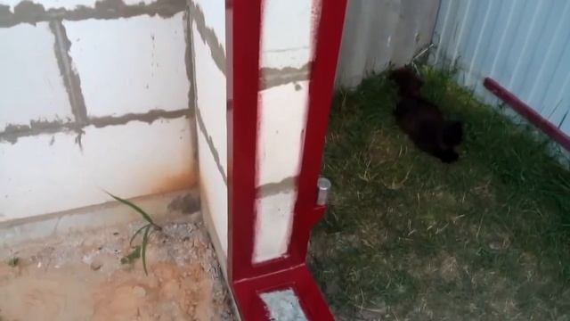 Рама ворот в гараже смотреть онлайн