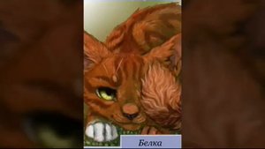 Коты-Воители \ История Песчаной Бури ( заказ )