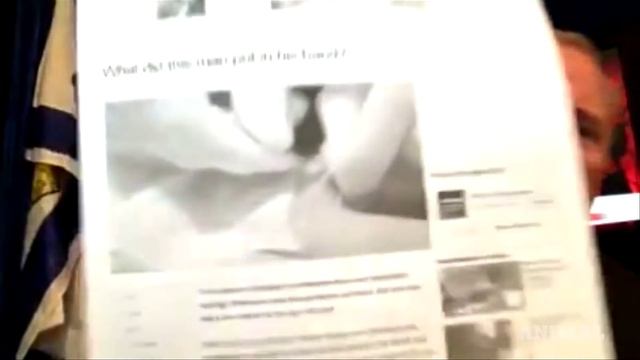 What is ANIMAL? смотреть онлайн