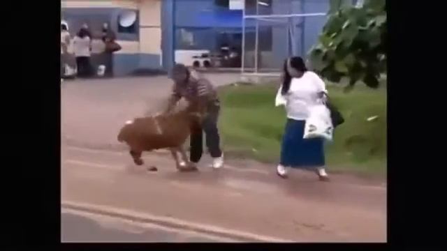 Баран-беспредельщик смотреть онлайн