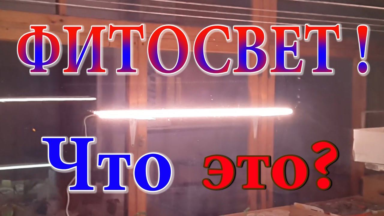 Фитолампы. Фитолампы для растений. Биколор. Подсветка рассады. Фулспектр. Мультиспектр.