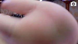 [Stray Kids: SK-TALKER(슼토커)] EP.03