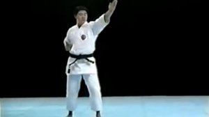 Шито-рю каратэ.Ката Нипайпо и бункай.Nipaipo bunkai kata Shito Ryu