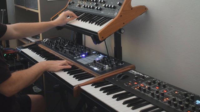 Fun with Arps Vol3: Moog Subsequent 37, Sequential Prophet Rev2 & Arturia PolyBrute