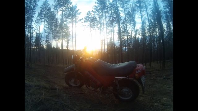 ТУЛА ПОВАЛИЛА/СЪЕЗДИЛ В ЛЕС/ПОКАТУШКА #3 смотреть онлайн