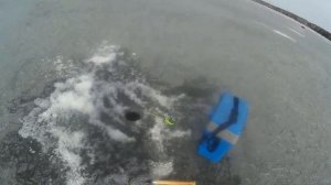 Сорожка + Линь бонусом. Черноисточинское водохранилище.