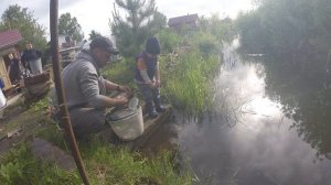 СЫН запускает ЗДОРОВЫХ КАРАСЕЙ в дачный ПРУД.Рыбный пруд на даче.
